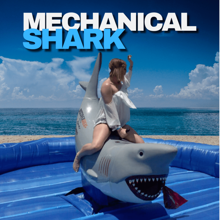 Mechanical Shark Rental - S19.10