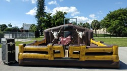 image02030 1654741325.jpeg Mechanical Bull Rentals - R20B.15