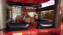 8b536456 cb76 4283 9adb 91cbd0646823 1766423071 Mechanical Reindeer Rental - R19.10