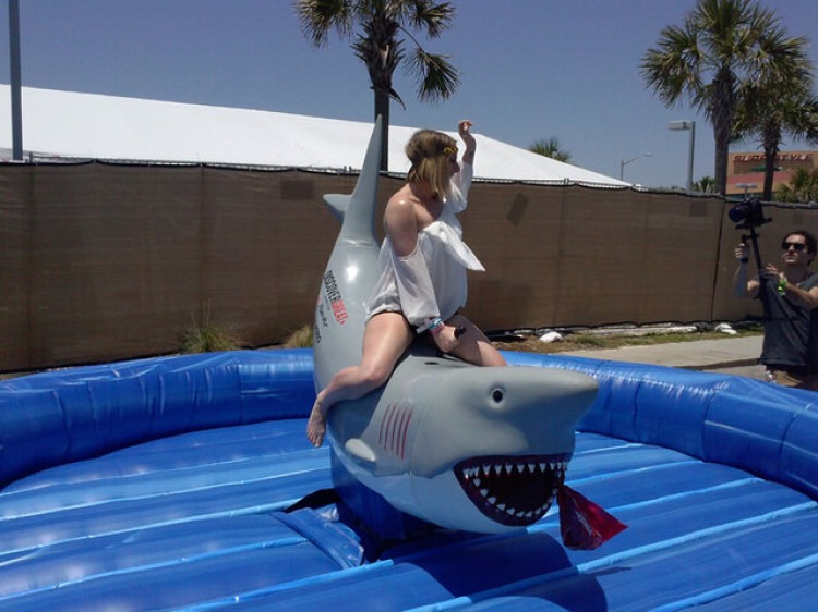 Mechanical Shark Rentals Mechanical Shark Rentals
